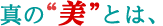 真の“美”とは、